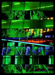 Green Night